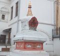 Сотрудники Государственного музея Востока закрыли доступ к буддийской ступе на территории усадьбы Лопухиных в центре Москвы
