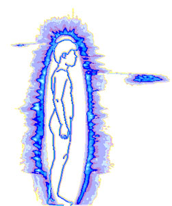 кластеры, идущие к  (вид справа) и от эпифиза (вид слева), сердцу и гипоталамусу при вдыхании запаха ладана