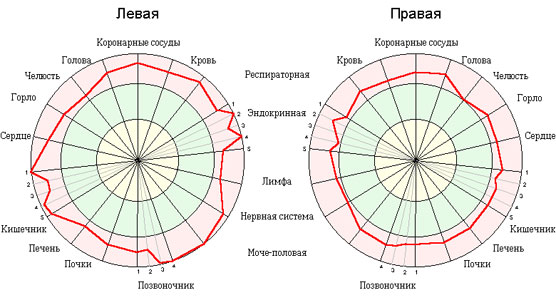 Диаграмма состояния энергии по системам и органам